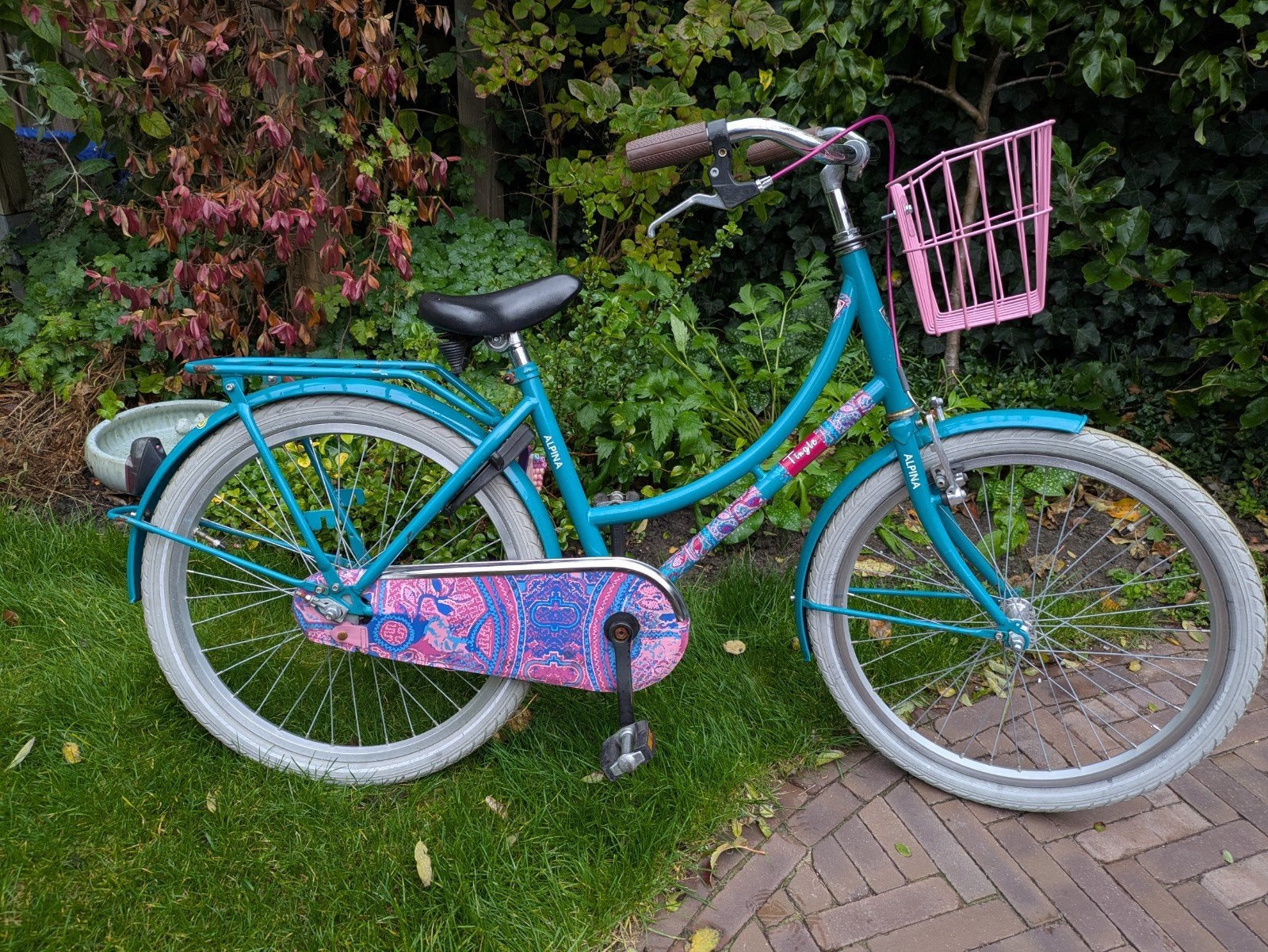 Alpina fiets - 22 inch - met mandje, Ophalen of Verzenden, Gebruikt, Velgrem, Alpina