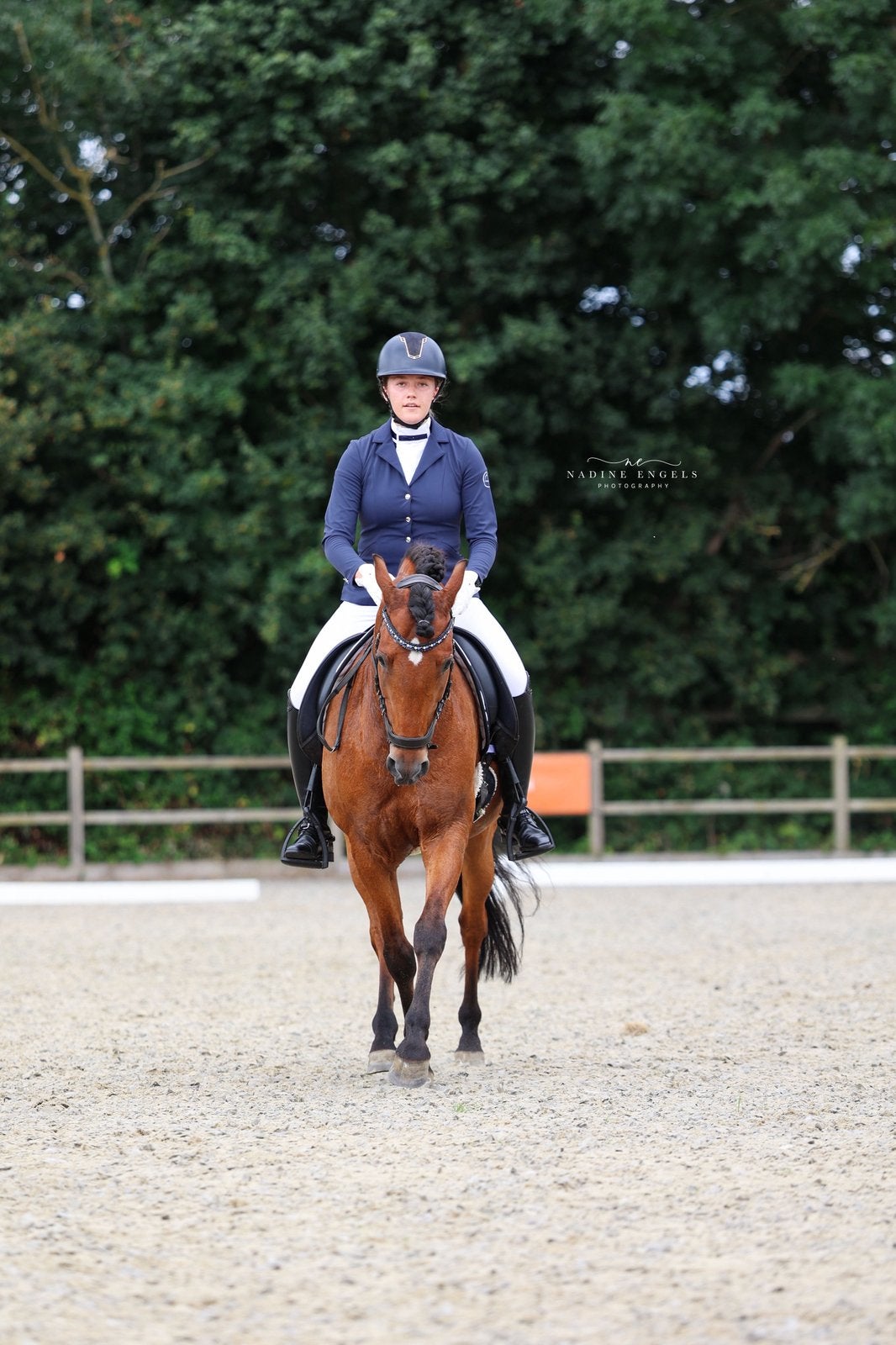 Verzorg / bijrijd / lease paard gezocht, Ophalen, Nieuw