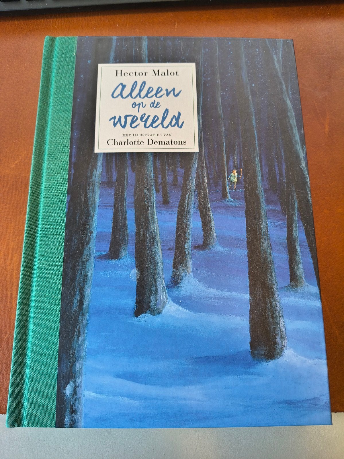Alleen op de Wereld - Hector Malot (Nieuwstaat) gebonden, Ophalen of Verzenden, Nieuw, Hector Malot, Fictie