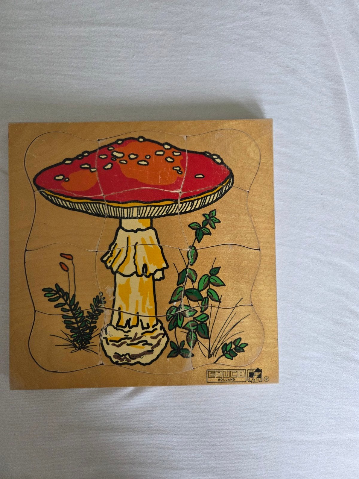 Houten paddenstoel puzzel van Educo Holland, Kinderen en Baby's, Speelgoed | Kinderpuzzels, 2 tot 4 jaar, Gebruikt, Ophalen of Verzenden
