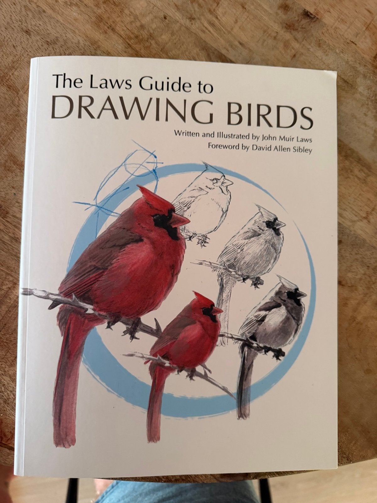 The Laws Guide to Drawing Birds - Tekenboek Vogels, Ophalen of Verzenden, Zo goed als nieuw, Boek of Gids