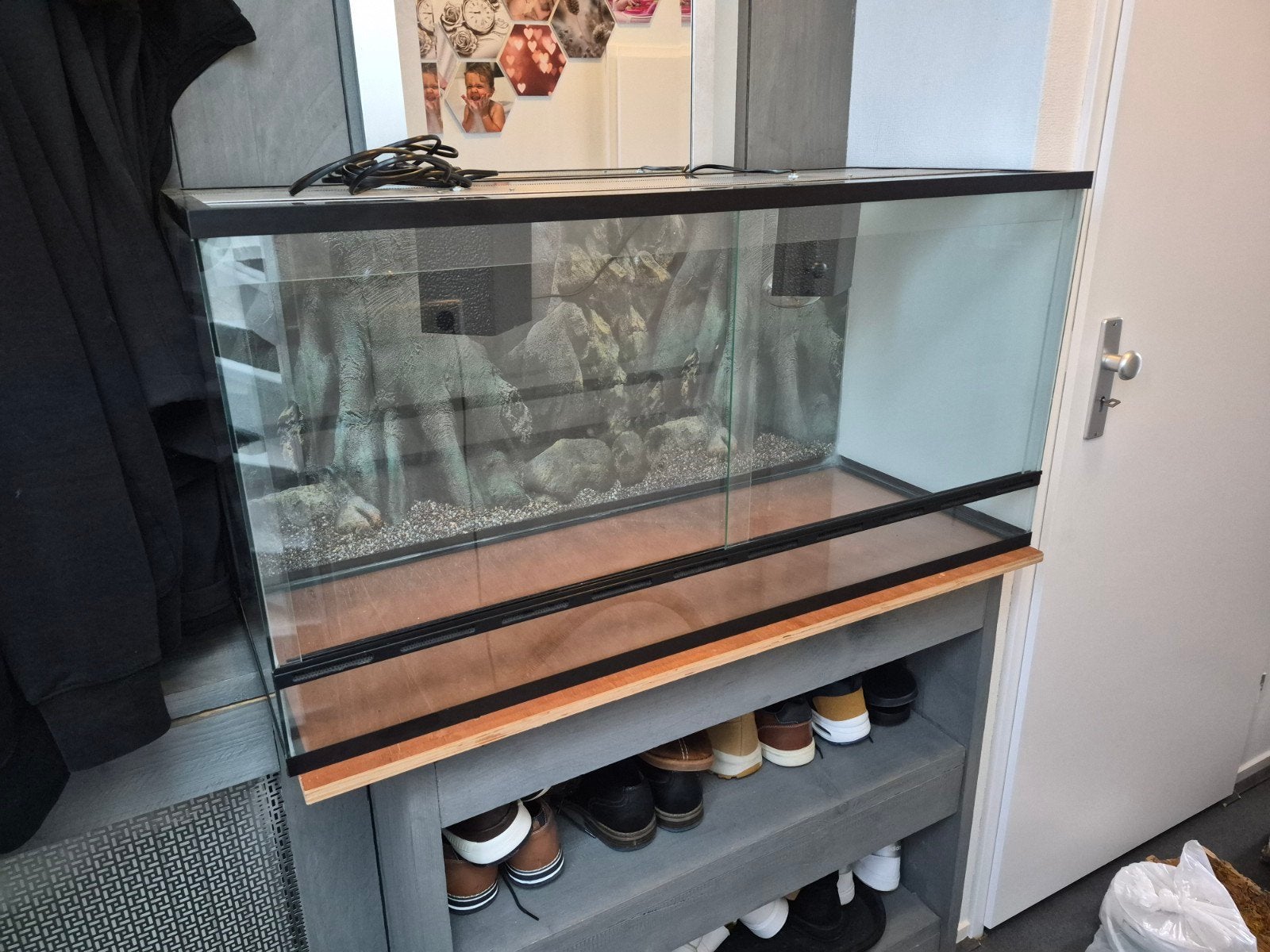 Terrarium, Dieren en Toebehoren, Ophalen, Zo goed als nieuw, Terrarium of Paludarium