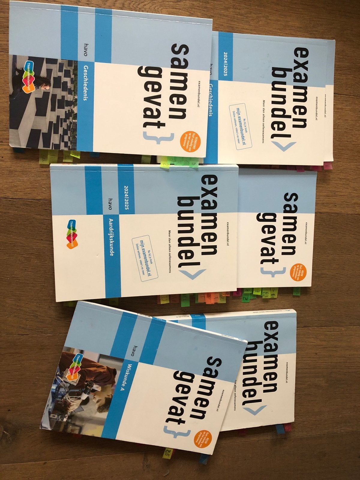 Havo Examenbundels & Samengevat: Geschiedenis, Aardrijkskund, Ophalen of Verzenden, Gamma, Zo goed als nieuw, Overige niveaus