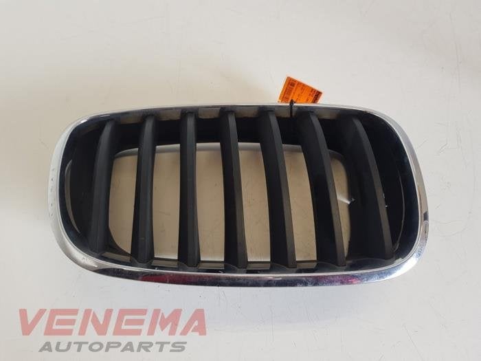 Grille van een BMW X5 (475), Gebruikt, -, -, Ophalen of Verzenden