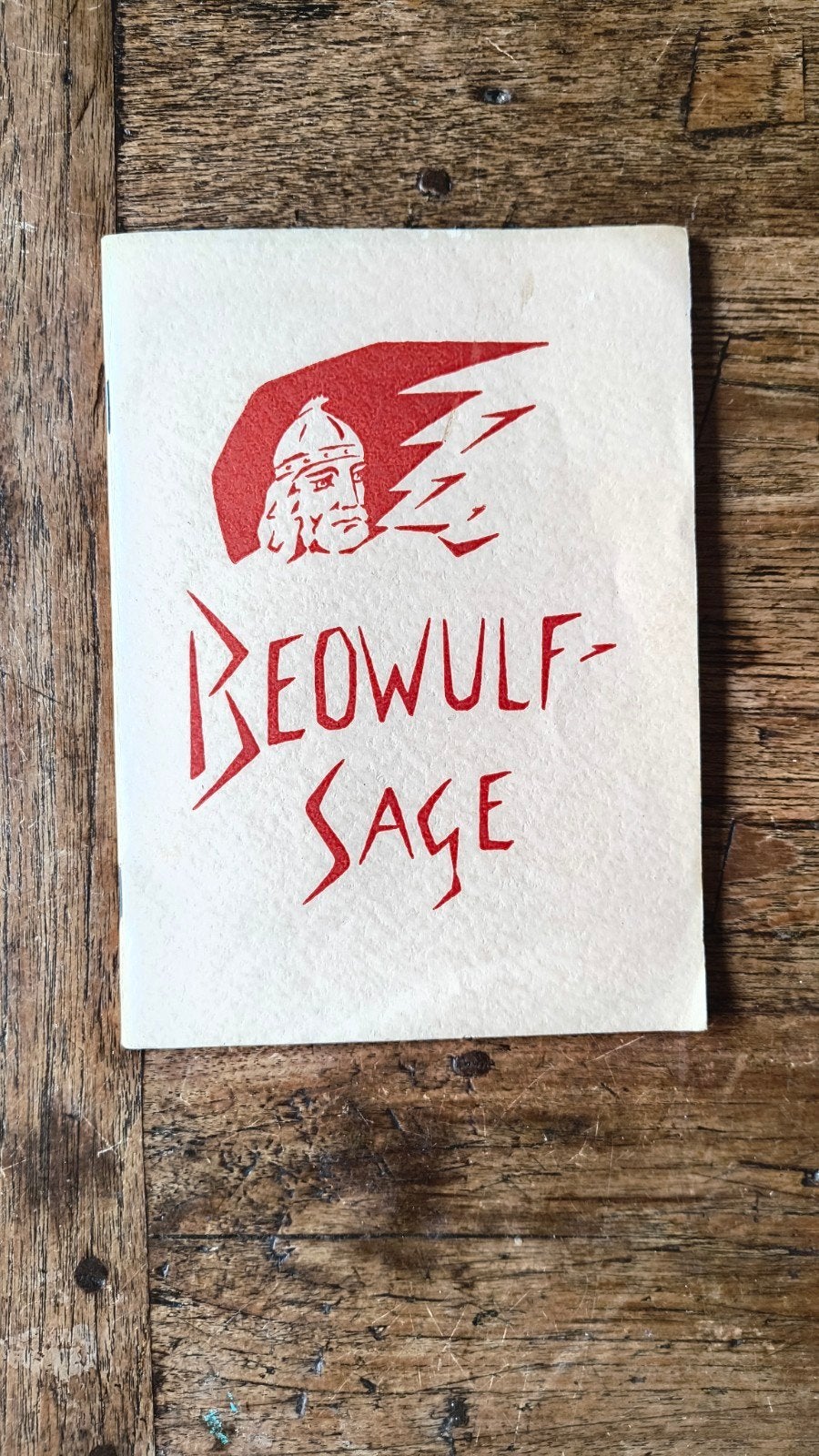 Beowulf, Koning Hrothgars Kampvechter - Bibliotheek Sagen, Ophalen of Verzenden, Gelezen, Henr. L. Janssen van Raay