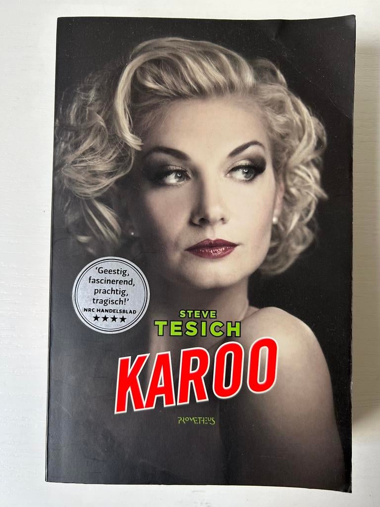 Steve Tesich - Karoo, Ophalen of Verzenden, Gelezen, Steve Tesich