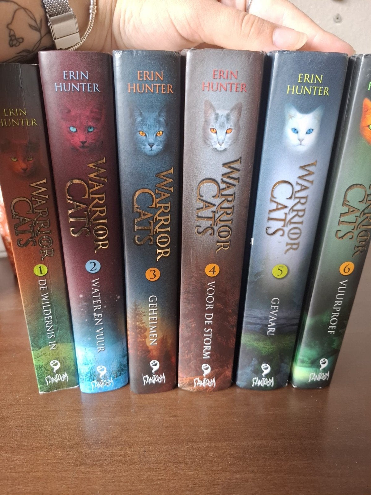 Warrior Cats Boekenreeks - Deel 1 t/m 6, Boeken, Ophalen, Zo goed als nieuw, Erin Hunter