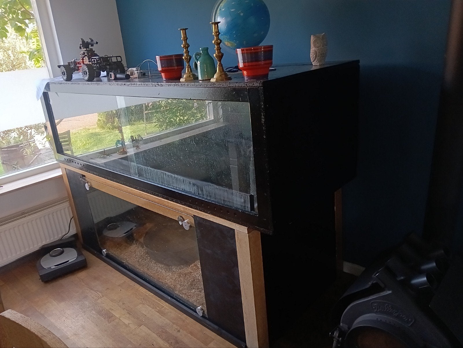grote boa constrictor, evt met terrarium, complete hobby. Boa Constrictor photo 5