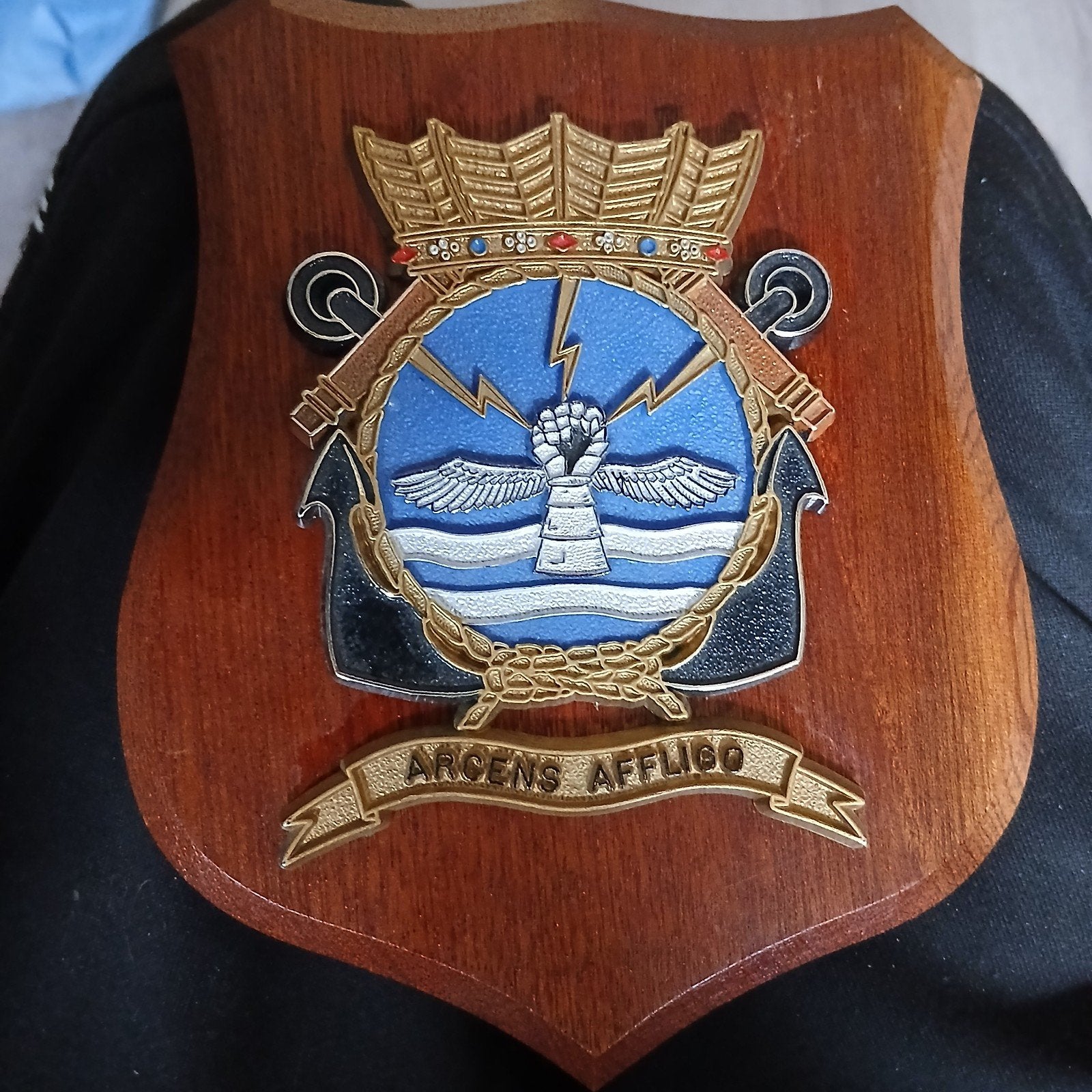 Decoratief houten schild met embleem en kroon, Verzamelen, Ophalen