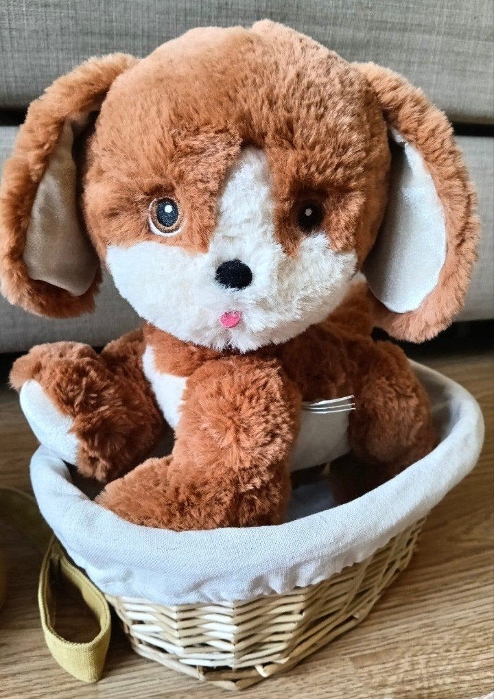 Olli Ella Dinkum dog Buddy knuffel hond ZGAN, Verzenden, Zo goed als nieuw, Hond