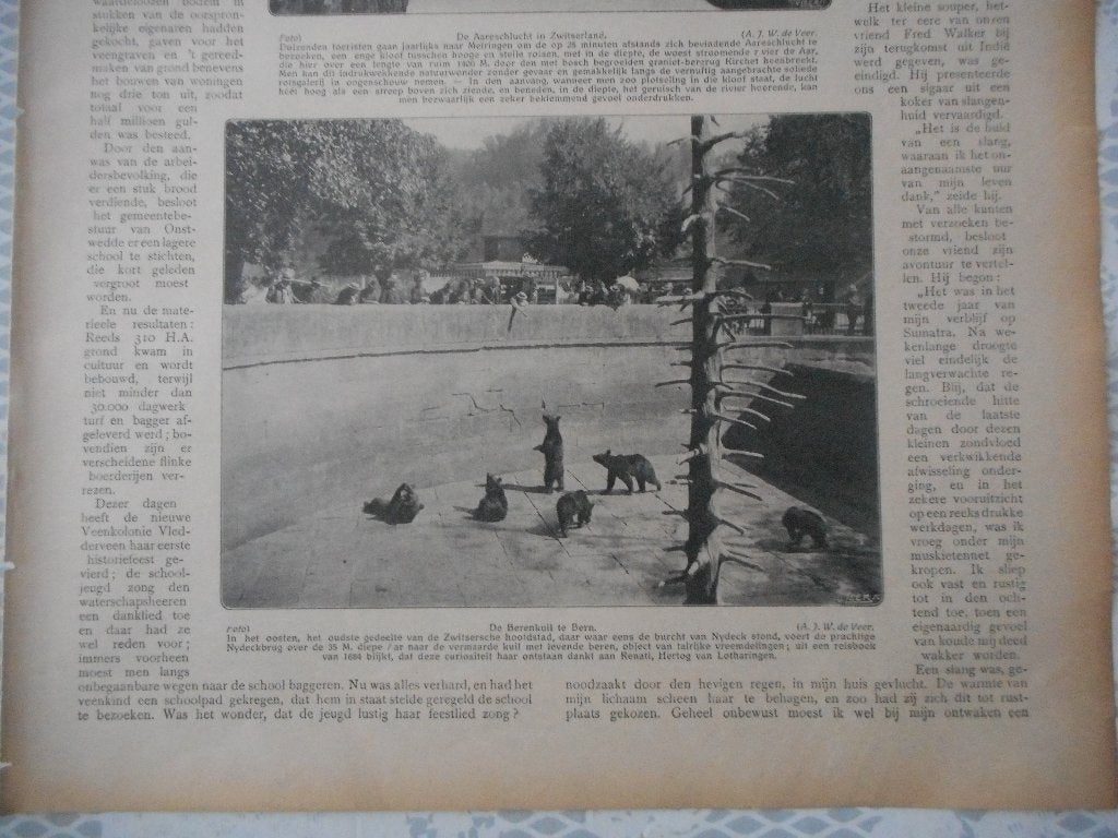 Bern. Berenkuil., Ophalen of Verzenden, Voor 1920, Knipsel(s)