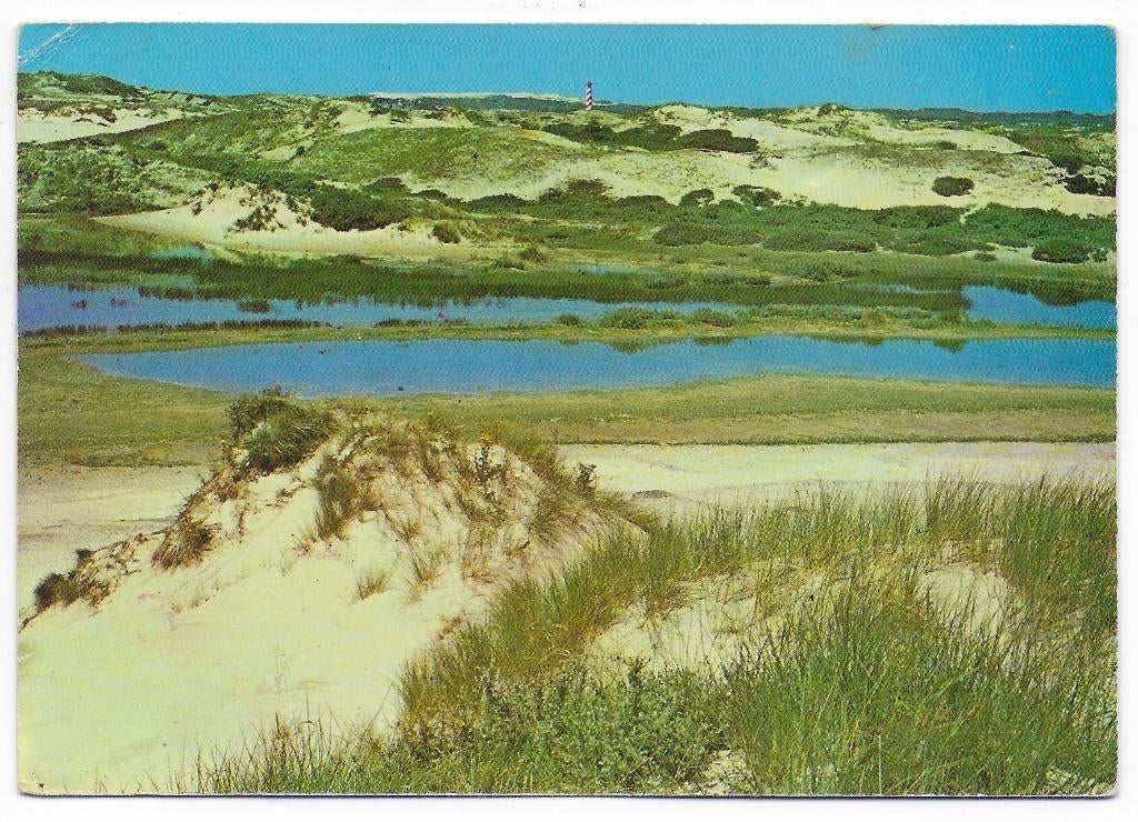 Burgh Haamstede stuifduinen Gelopen Ansichtkaart (B2730), Verzenden, 1980 tot heden, Gelopen