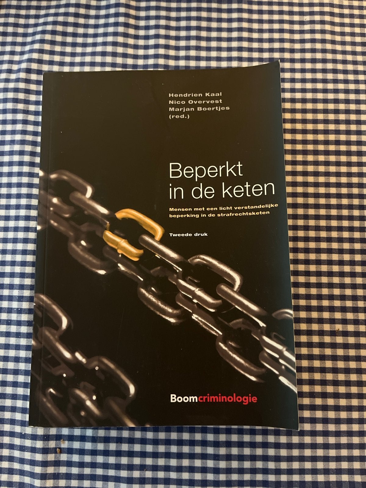 Beperkt in de keten - Mensen met verstandelijke beperking, Verzenden, Gebruikt