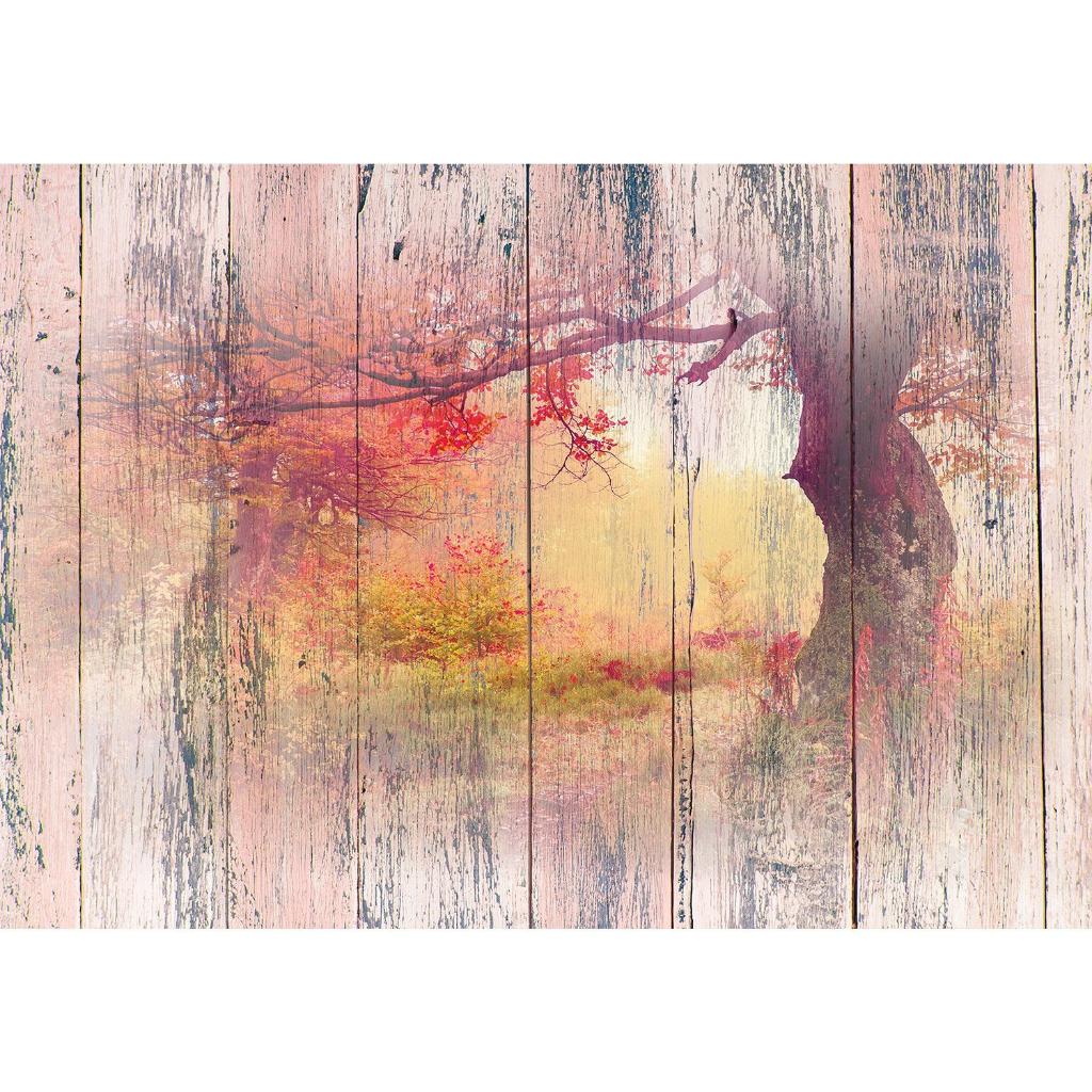 116 Bomen Natuur Vlies Fotobehang 350x250cm in 3 maten Nieuw, Huis en Inrichting, Stoffering | Behang, Ophalen of Verzenden, Minder dan 10 m²