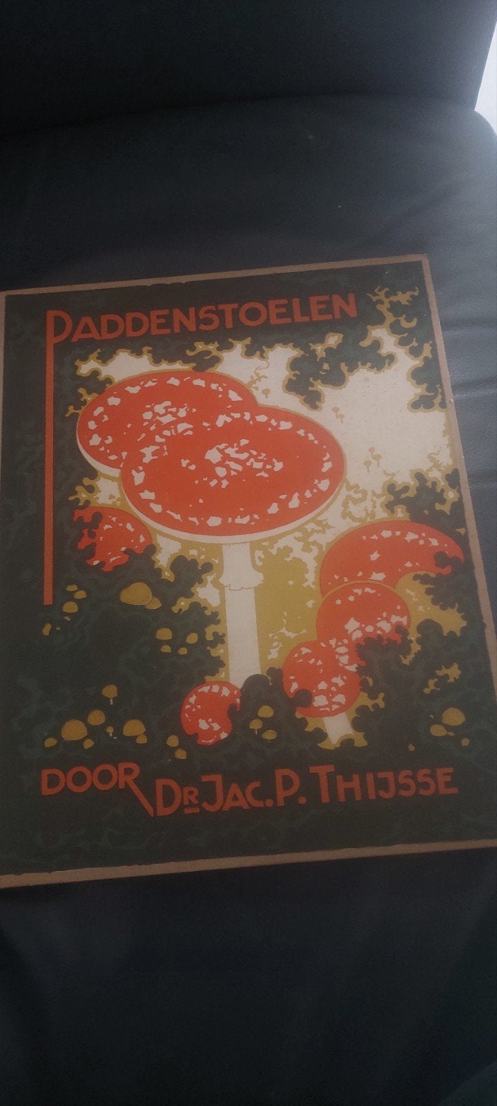 Paddenstoelen Jac.Thijsse  1929, Ophalen of Verzenden, Gelezen, Vogels