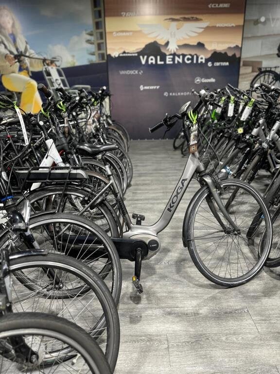 BATAVUS, GAZELLE, VAN DIJCK, KOGA