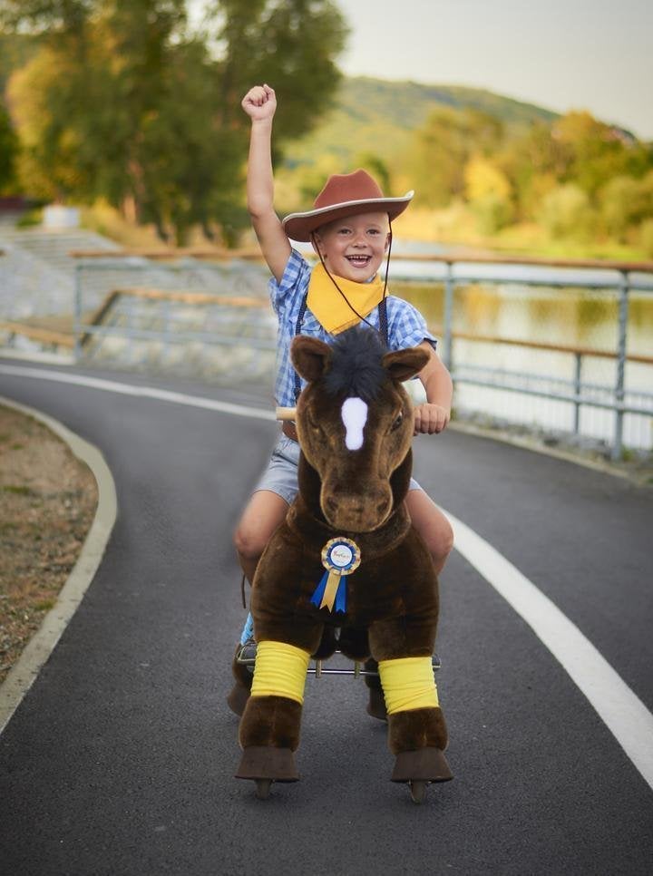 PonyCycle Donkerbruin Luxe versie voor Leeftijd 4-9 jaar, Ophalen of Verzenden, Nieuw