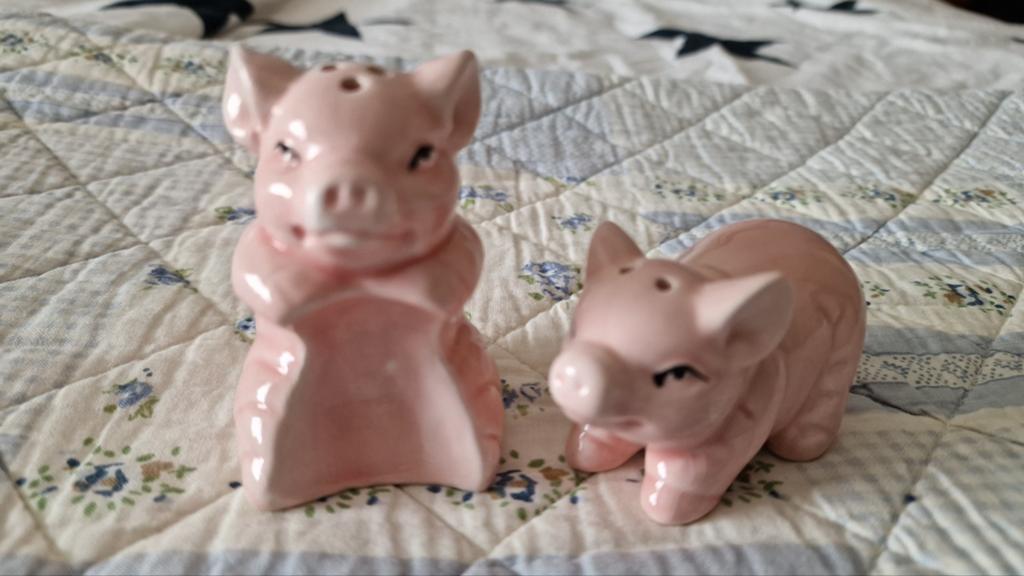 Peper en zoutstel varkentjes, Ophalen of Verzenden, Zo goed als nieuw, Roze