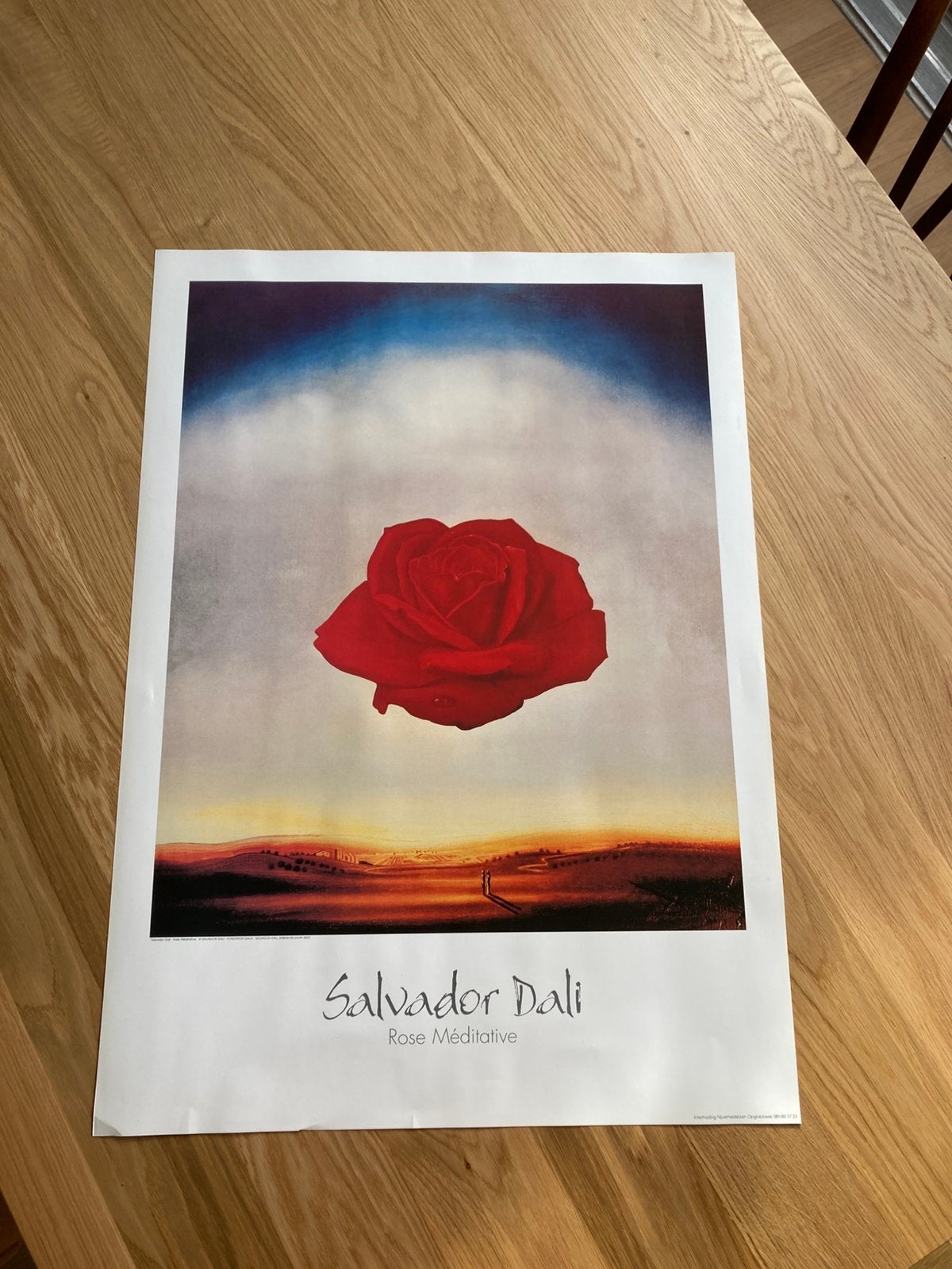 Gratis: poster van schilderij Dali ‘Rose Méditative’, Ophalen, A1 t/m A3, Dier of Natuur, Rechthoekig Staand