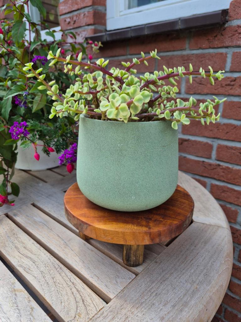 Leuk vintage houten planten tafeltje, Ophalen of Verzenden