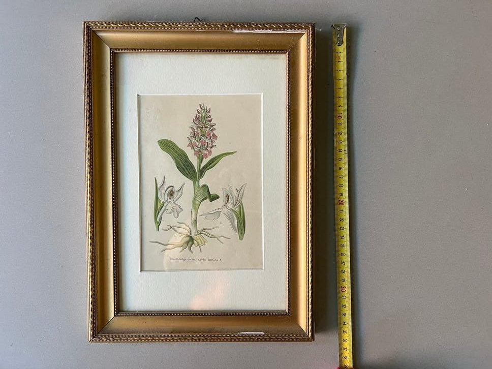 Lief: romantisch brocante prent 2, Ophalen of Verzenden, Zo goed als nieuw, Hout, Minder dan 50 cm