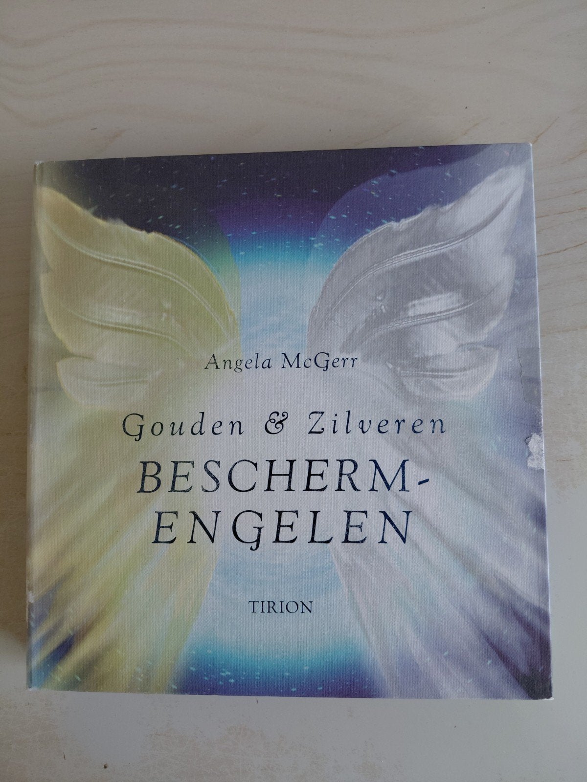 Gouden & Zilveren Beschermengelen - Angela McGerr, Boeken, Ophalen of Verzenden