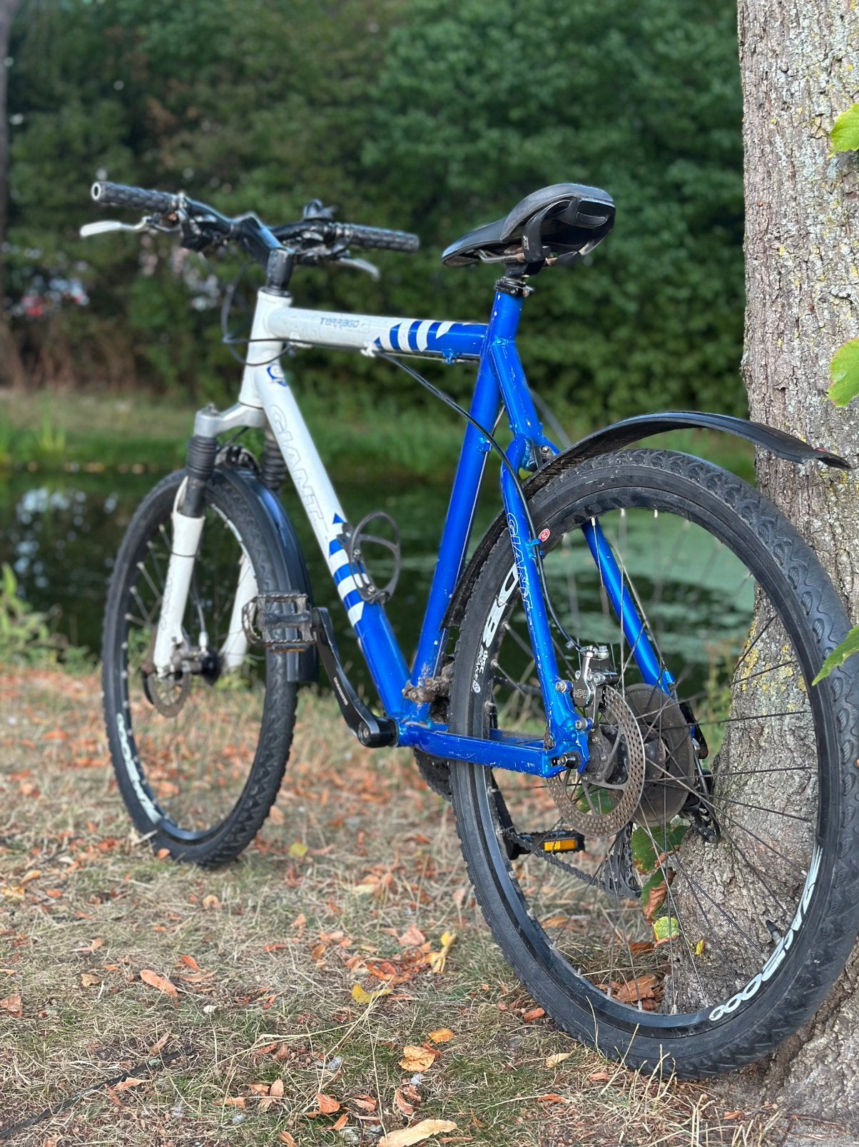 🚲 Giant Terrago mountainbike – blauw/wit, Versnellingen, 56 cm of meer, Zo goed als nieuw, Ophalen