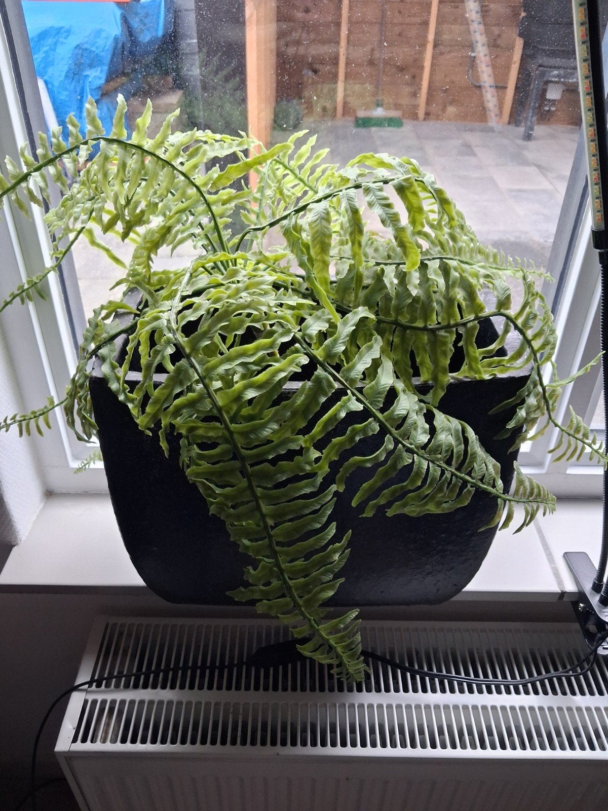 Mooie grote kunst varen (zonder pot), Binnen, Groen, Onderhoudsvrij, Kunstplant