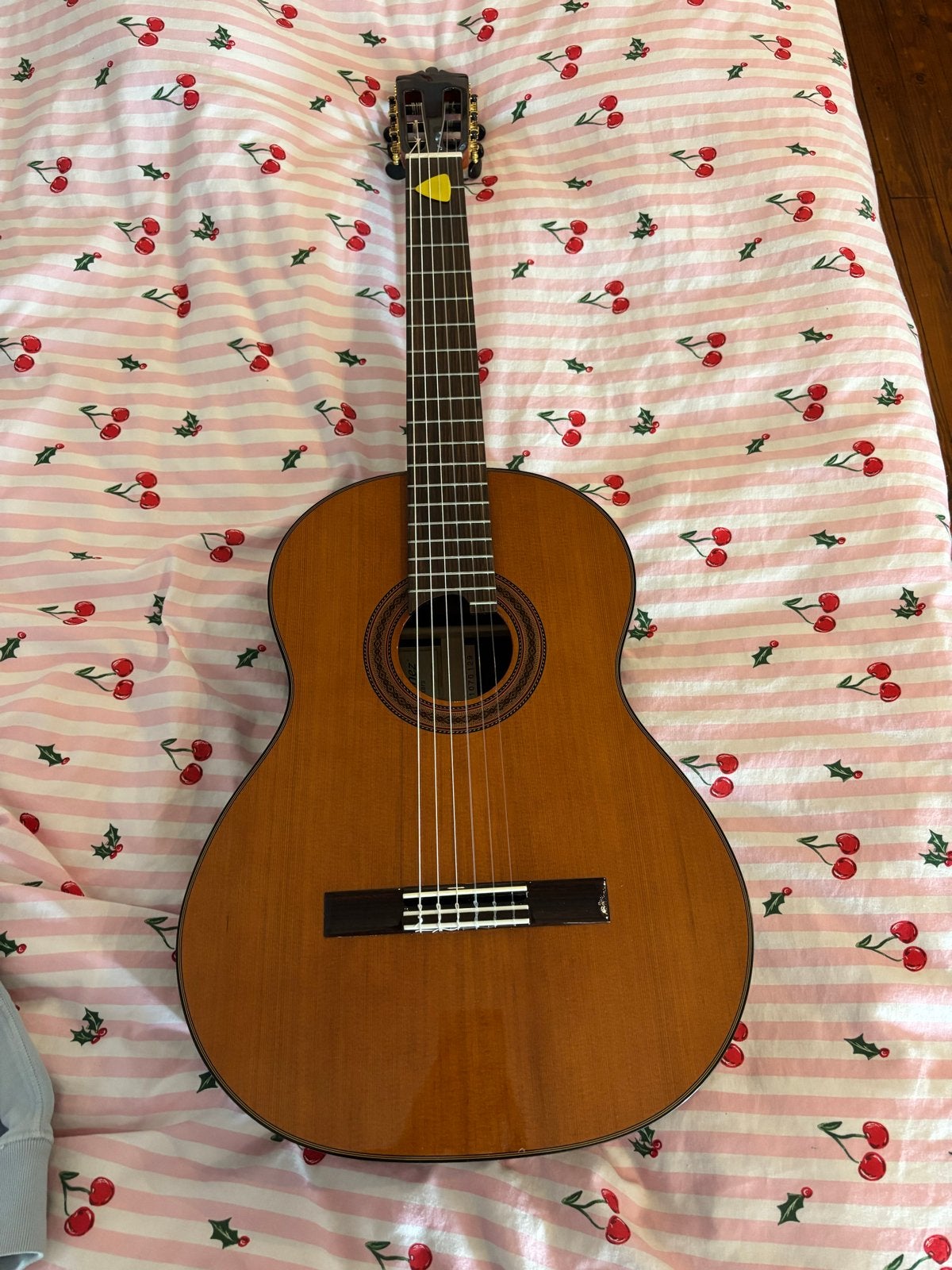 Martinez MCG-50C Klassieke Gitaar met Accessoires, Ophalen, Nieuw, Klassieke of Spaanse gitaar