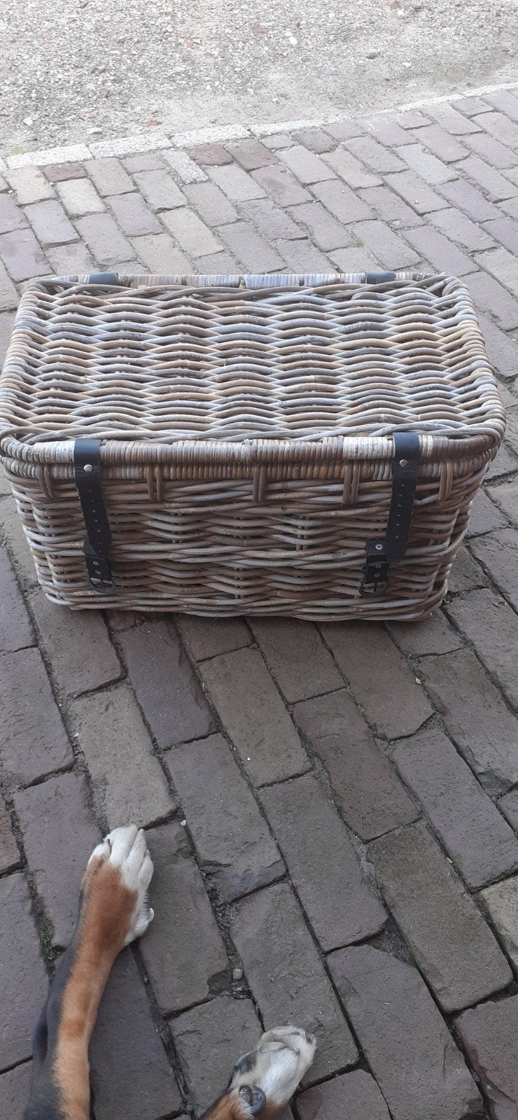 rietenmand  62 bij 37 cm, Ophalen, Zo goed als nieuw