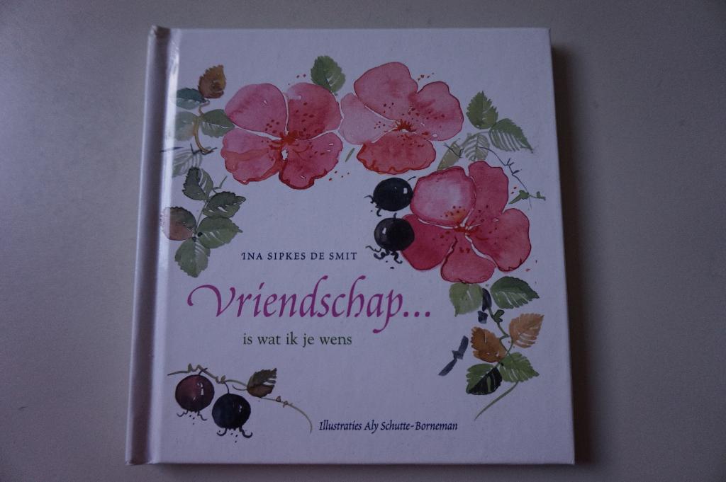 Vriendschap is wat ik je wens - cadeau boekje voor vriendin, Ophalen of Verzenden, Zo goed als nieuw, Ina Sipkes de Smit, Eén auteur