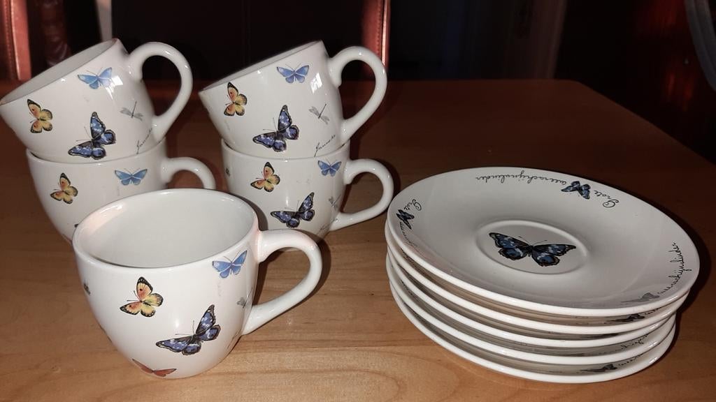 5 kop en schotels van Jet ter stege douwe egberts, Ophalen, Zo goed als nieuw, Kunststof