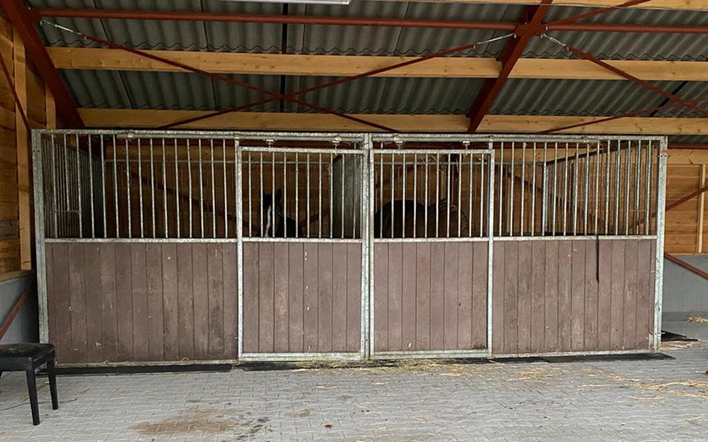 Stalwanden voor 3 paardenboxen