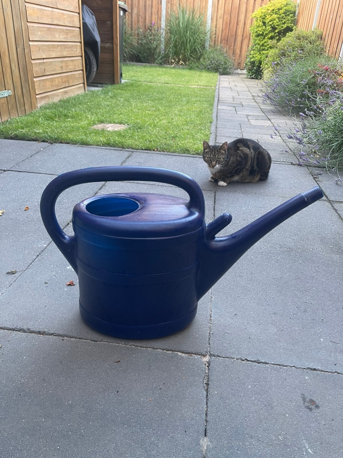 Gieter blauw, Tuin en Terras, Ophalen of Verzenden, Zo goed als nieuw, Kunststof