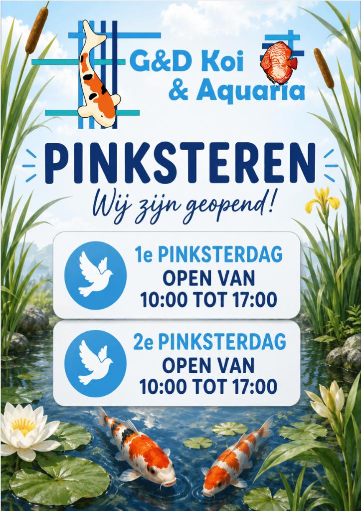 Pinksterdagen geopend! Zondag en maandag 10.00 tot 17.00 uur, Dieren en Toebehoren, Vissen | Aquariumvissen, Vis