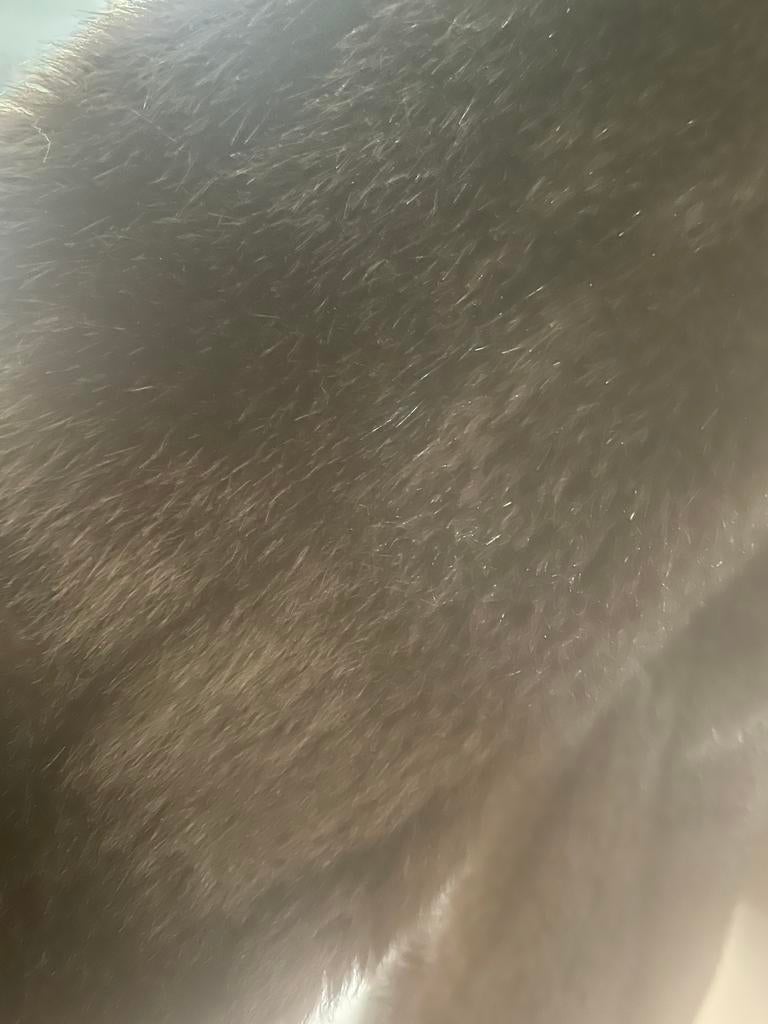 Donkerbruiine Faux fur jas - Maat s, Ophalen, Bruin, Maat 36 (S), Gedragen