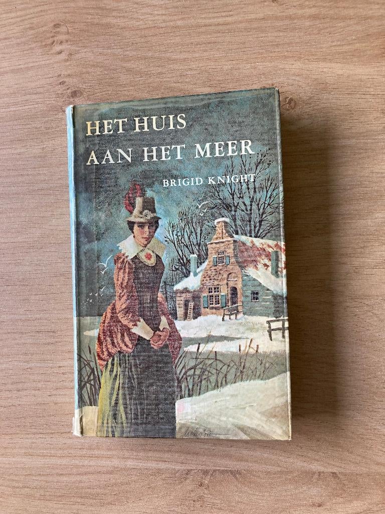 Boek Brigid Knight, Boeken, Ophalen of Verzenden, Gelezen
