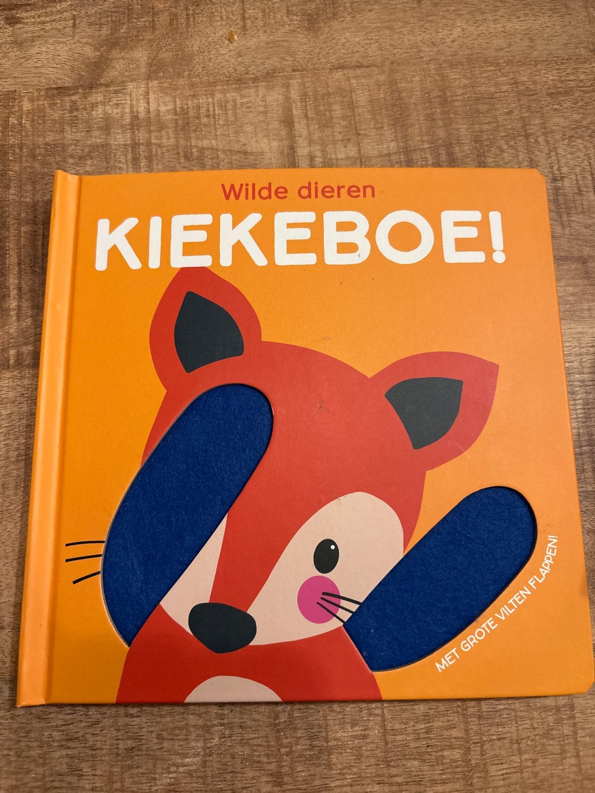 Kijk eens wat ik kan, Ophalen of Verzenden, Zo goed als nieuw, Non-fictie