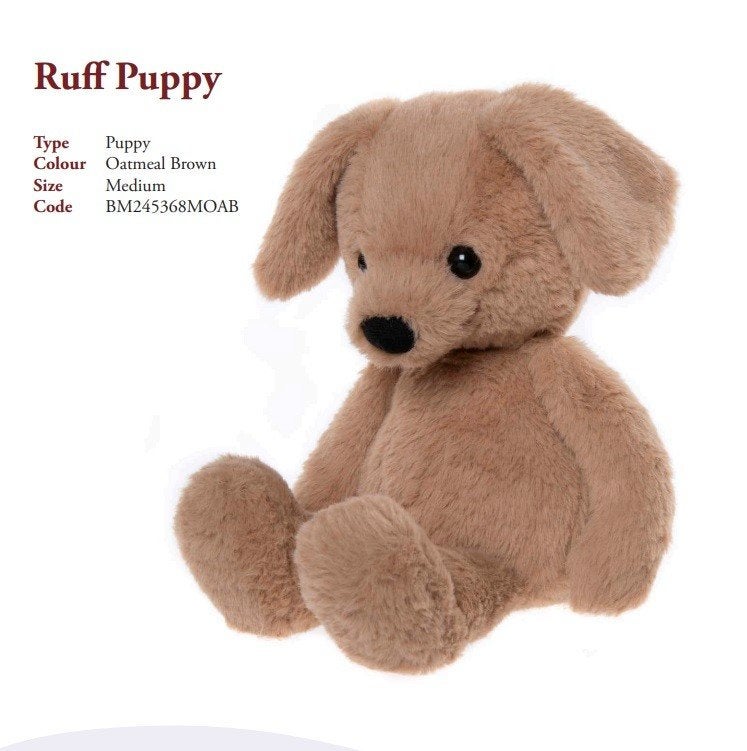 Charlie Bears Bear and Me Ruff Puppy, 30cm., Overige merken, Headbear@charliebears.com, Nieuw, Ophalen of Verzenden
