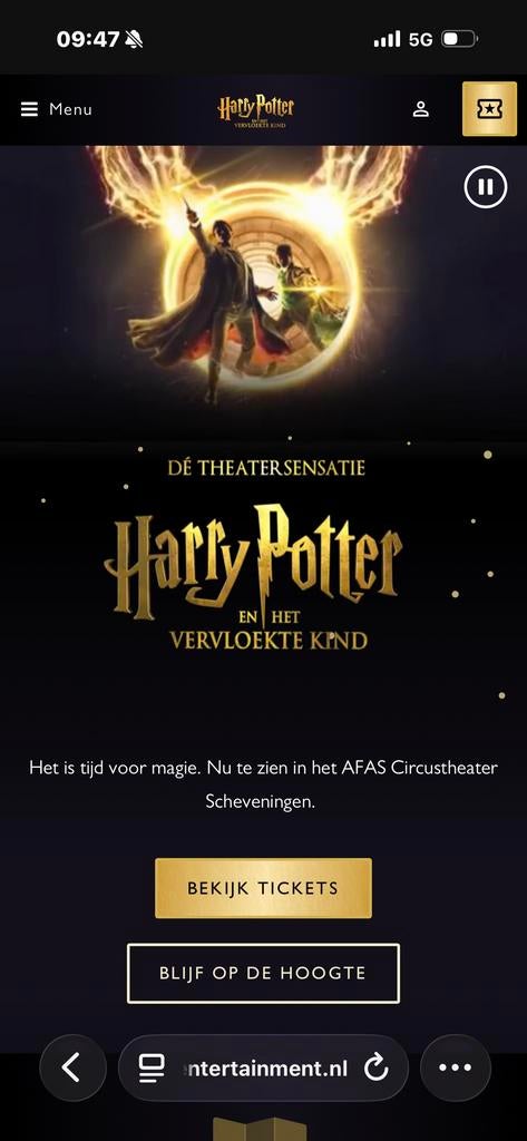 2 kaartjes Harry Potter vrijdag 6 maart. 56 euro per stuk., Twee personen, Maart, Toneel