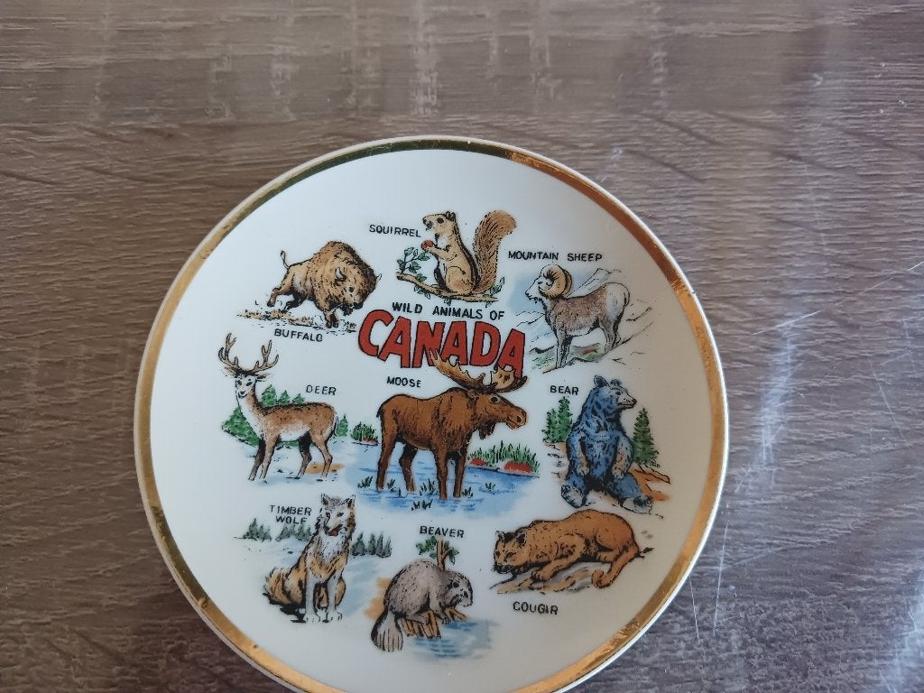 Oud Canadees toeristen schoteltje, Ophalen of Verzenden, Nieuw, Porselein, Bord of Schaal