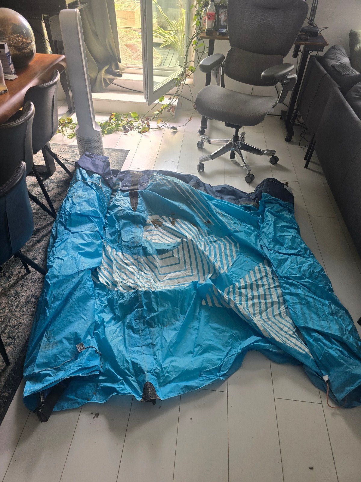 Complete Kitesurf Set: Gaastra Spark 11.0m² & Board, Twintip, Ophalen