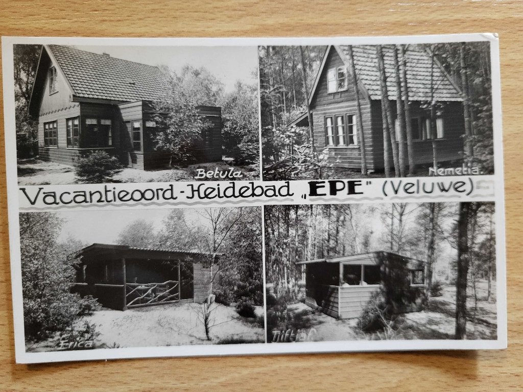 ansicht Meerluik EPE Heidebad, Ophalen of Verzenden, Voor 1920, Gelderland