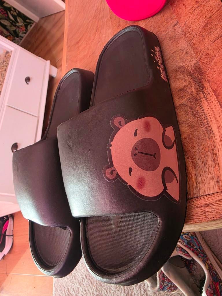 Capybara slippers maat 37/38, Ophalen of Verzenden, Nieuw, Zwart