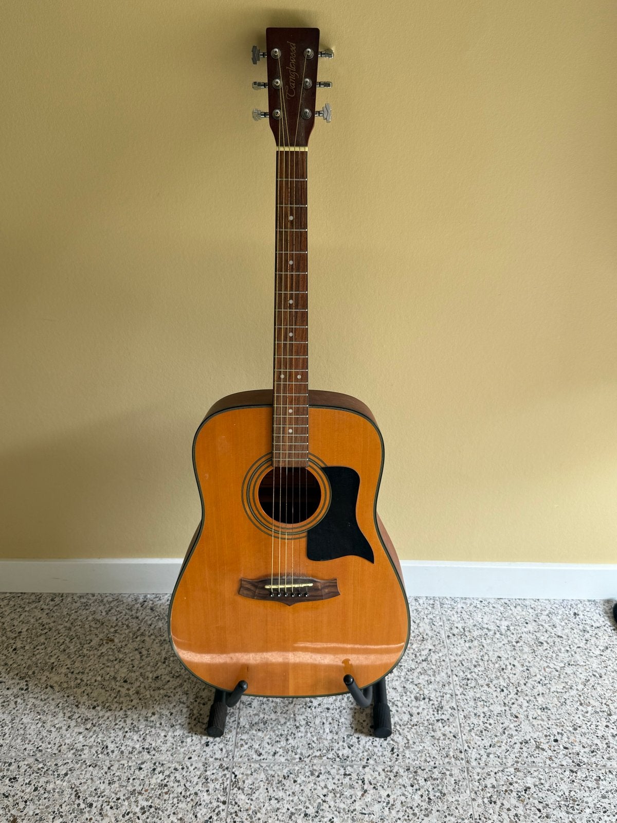 Gitaar - Tanglewood TW28ST-USA NA Western gitaar met hoes, Ophalen, Gebruikt, Western- of Steelstringgitaar, Met koffer