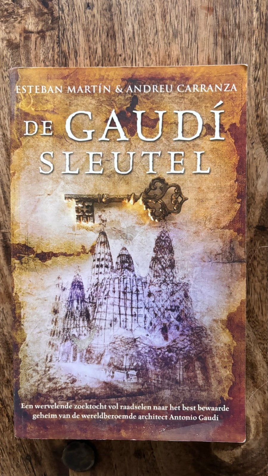 De Gaudí Sleutel - Esteban Martín & Andreu Carranza, Boeken, Ophalen of Verzenden, Zo goed als nieuw, Nederland