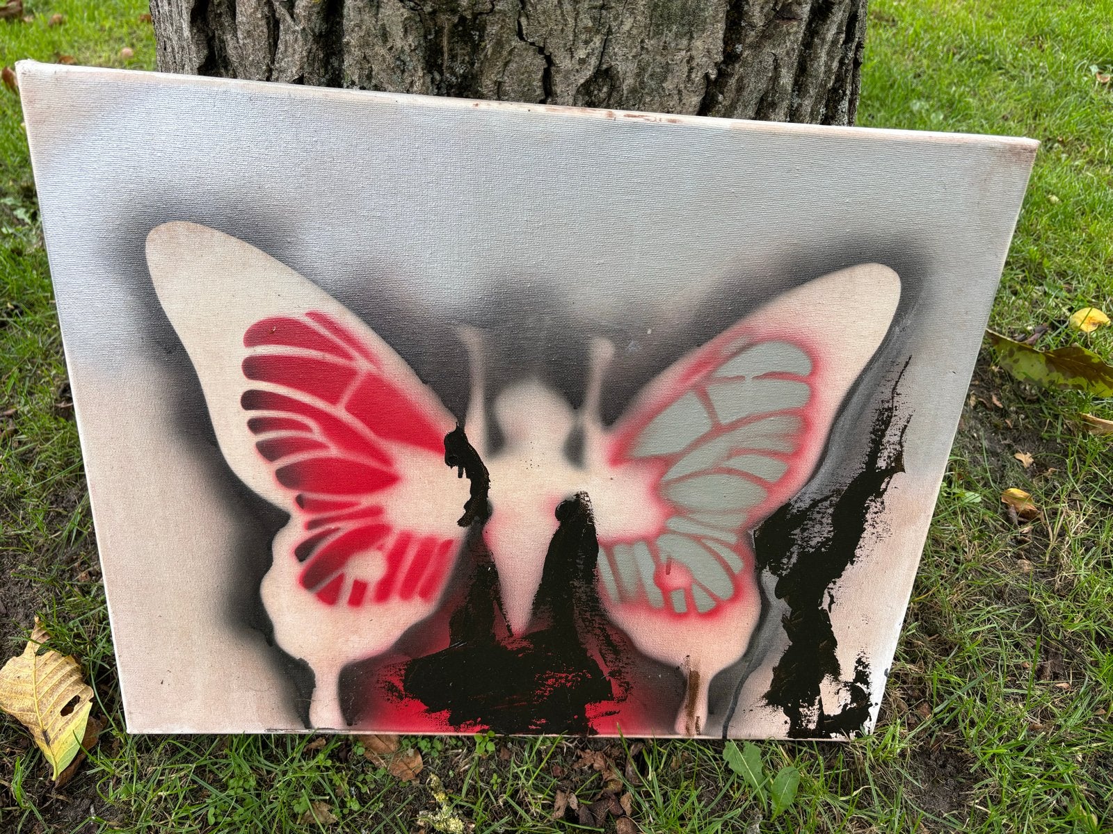 Schilderij Vlinder 50x40 cm, Ophalen