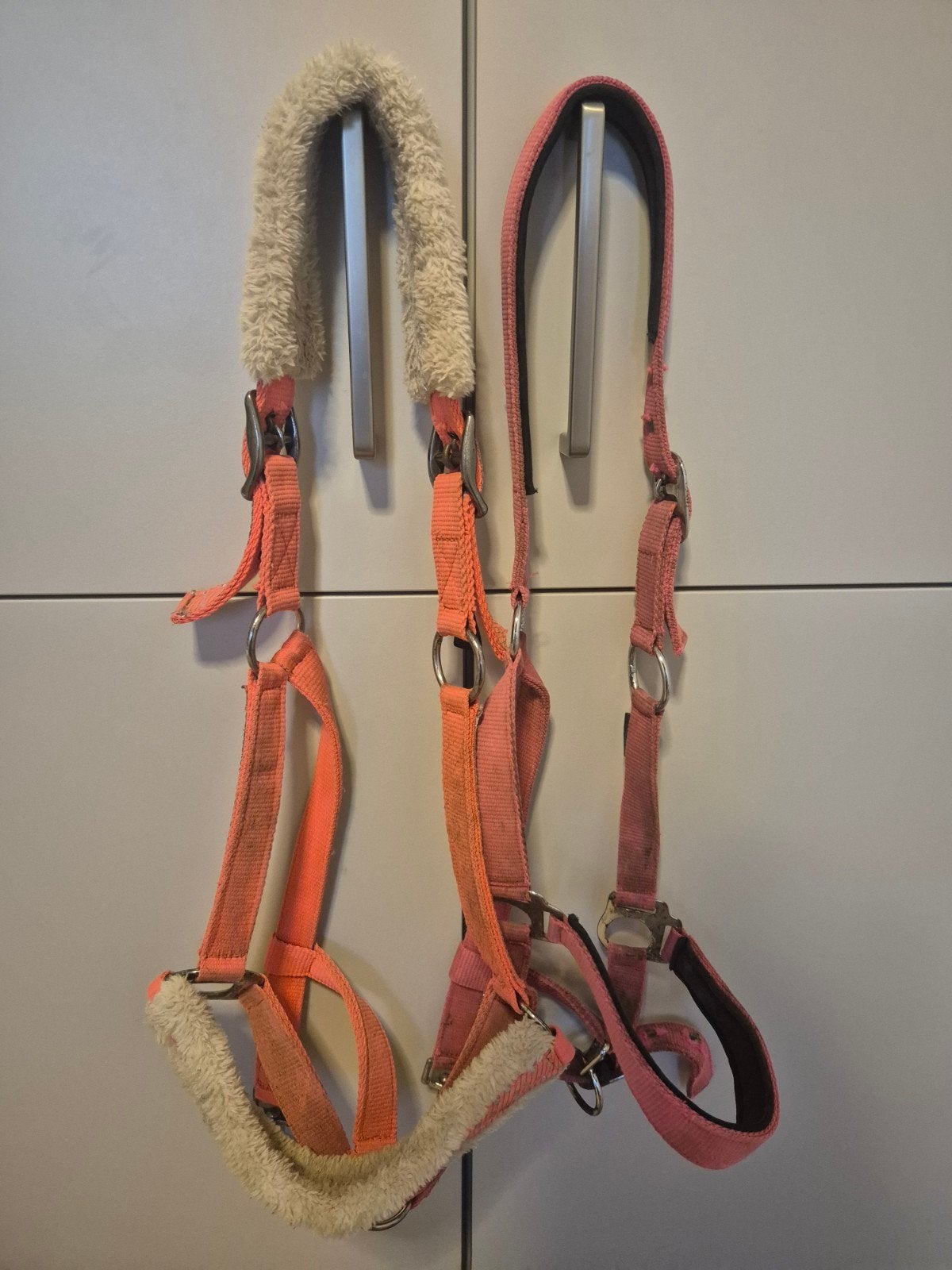 Halsters maat full, Ophalen of Verzenden, Full