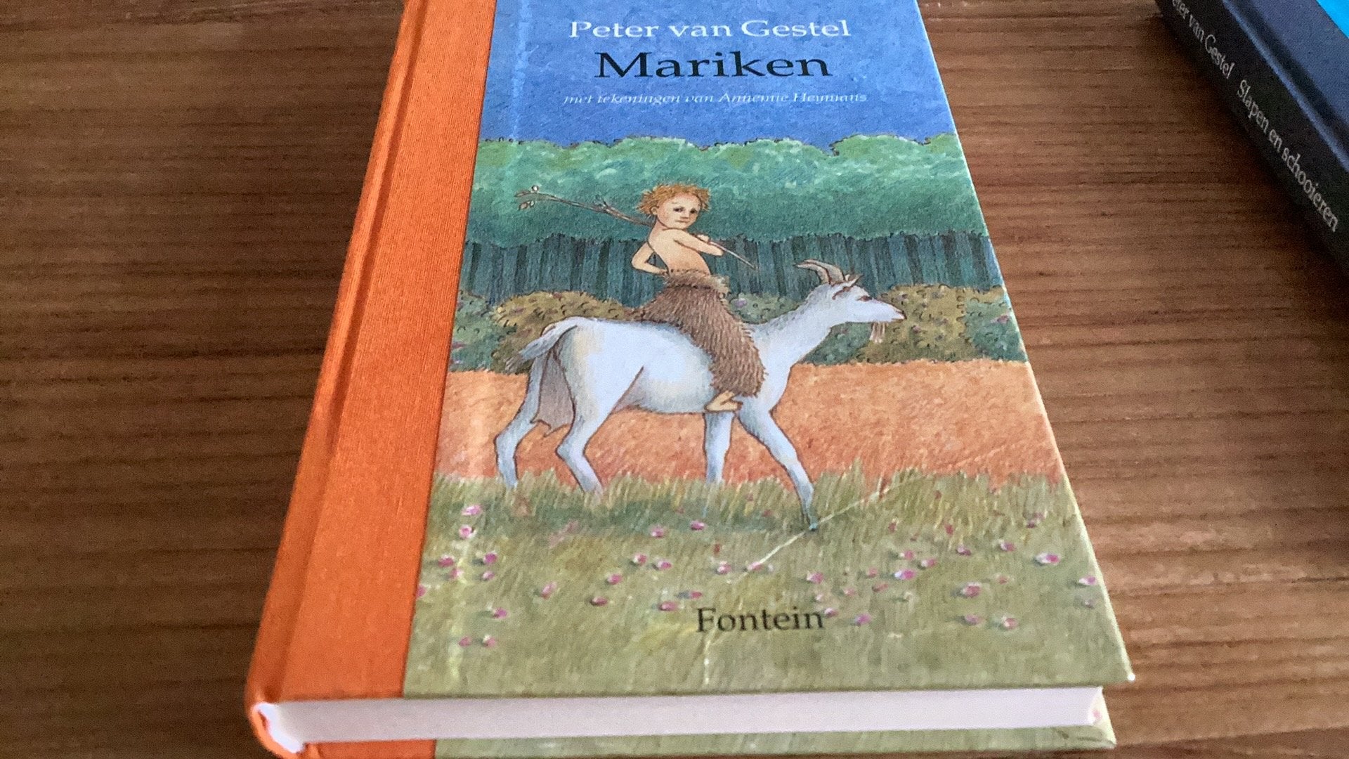 P. van Gestel - Mariken. Hardcover. 9+, Boeken, Ophalen of Verzenden, Zo goed als nieuw, P. van Gestel