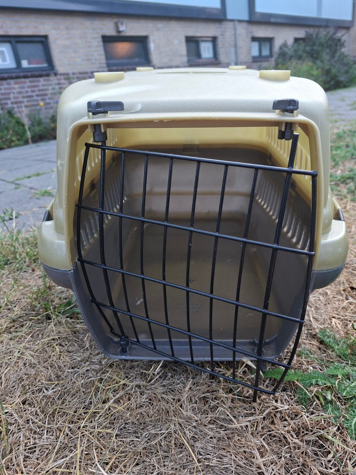grote transportbox kleine hond of meerdere katten, Ophalen, Zo goed als nieuw